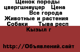 Щенок породы  цвергшнауцер › Цена ­ 30 000 - Все города Животные и растения » Собаки   . Тыва респ.,Кызыл г.